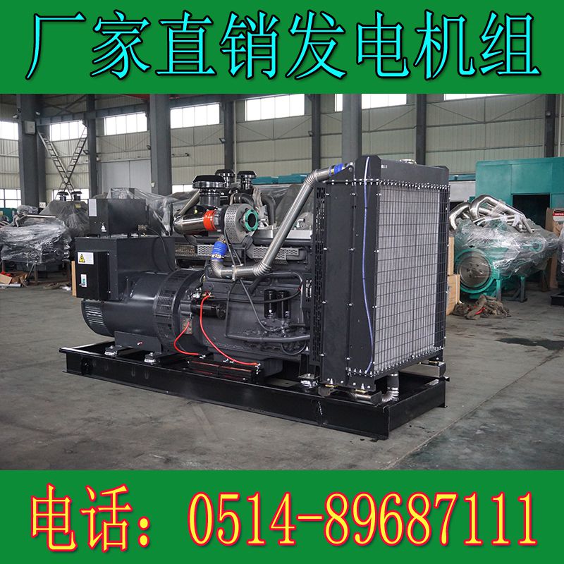 卡得城仕400KW柴油發電機組KD12H440(圖3)