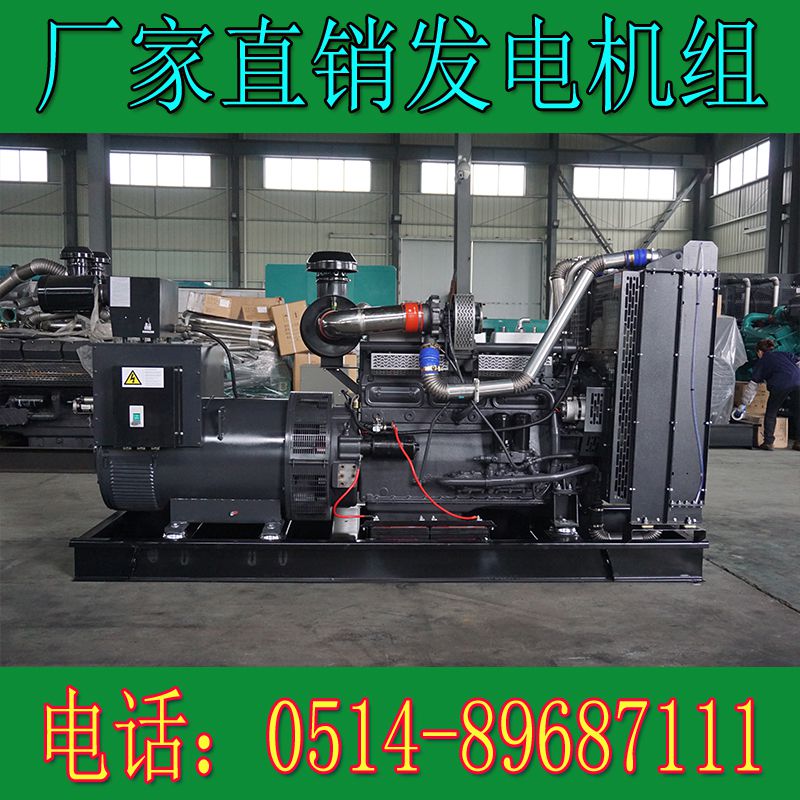 卡得城仕400KW柴油發電機組KD12H440(圖4)