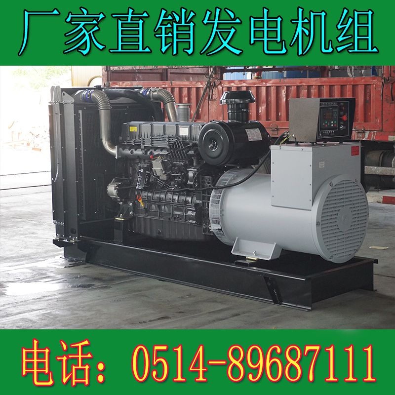上柴動力300KW柴油發電機組6ETAA11.8-G31(圖1)