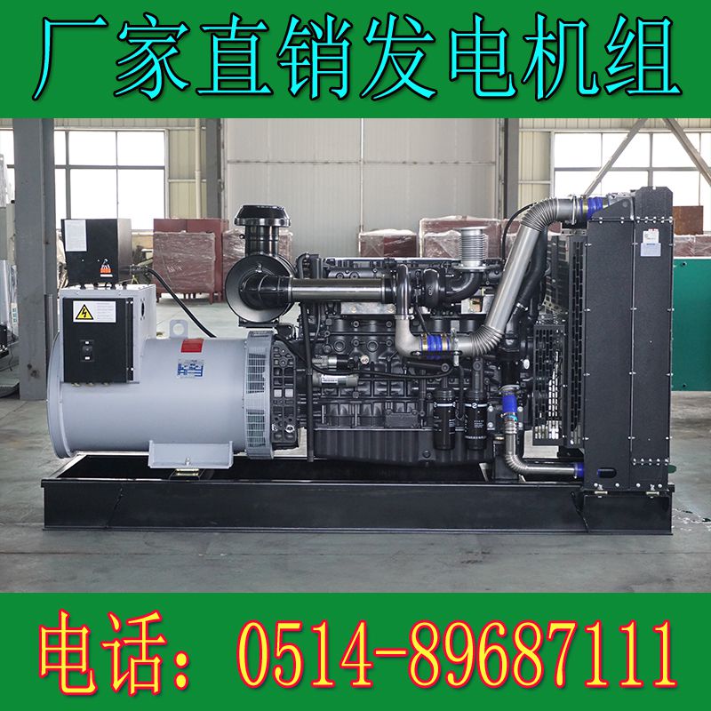 上柴動力300KW柴油發電機組6ETAA11.8-G31(圖2)