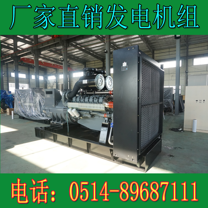 威曼800KW柴油發電機組D30A2(圖3)