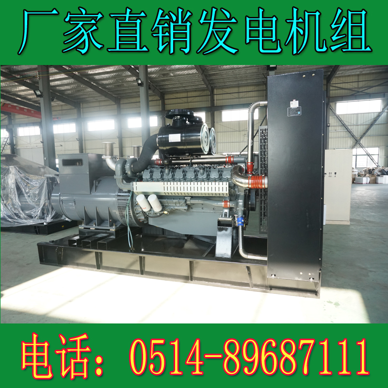 威曼800KW柴油發電機組D30A2(圖4)
